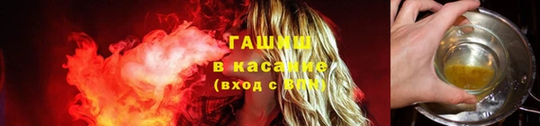 прущие грибы Абинск
