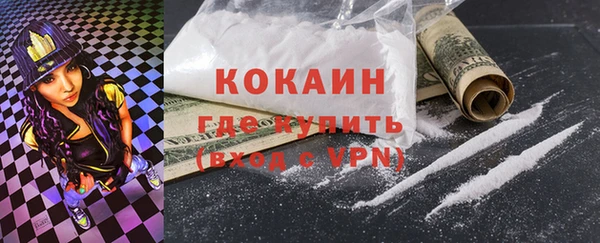 прущие грибы Абаза