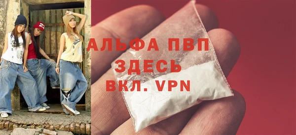 прущие грибы Абаза