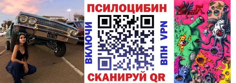Галлюциногенные грибы Psilocybine cubensis Подпорожье