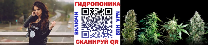 Бошки Шишки SATIVA & INDICA  наркота  мега зеркало  Подпорожье 